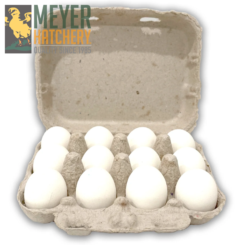 Quail 12-Egg Carton
