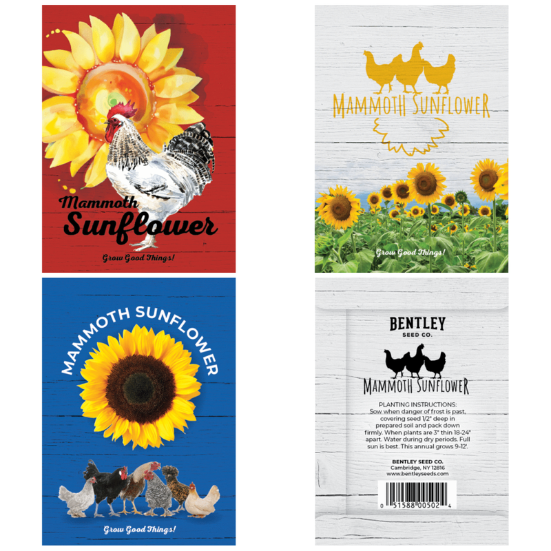 Bentley Seed Co Non-GMO Mammoth Sunflower Seed Packet