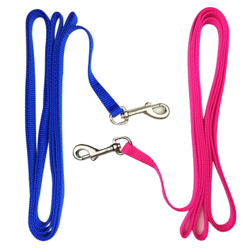Chicken Leash