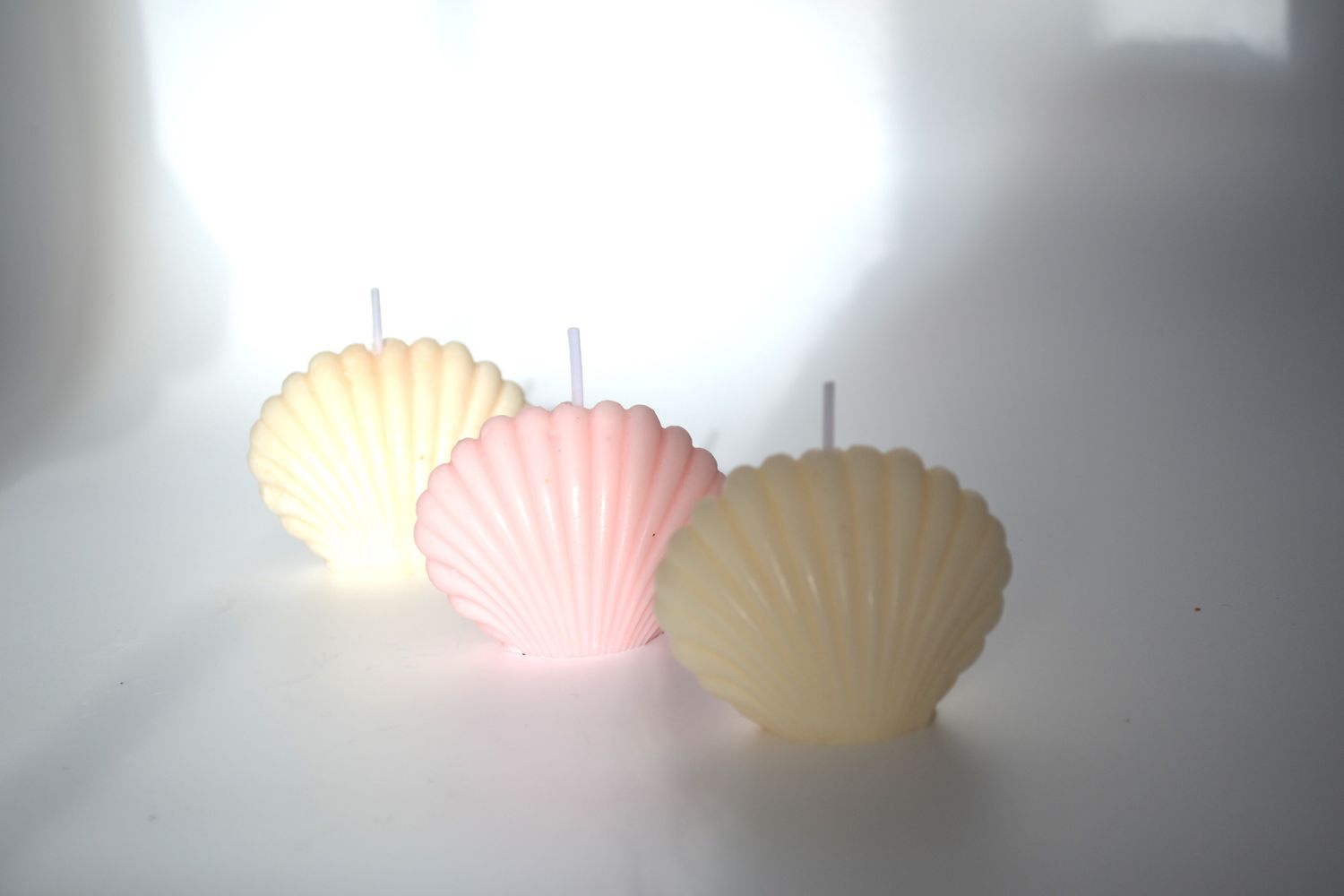 Vela Ostra