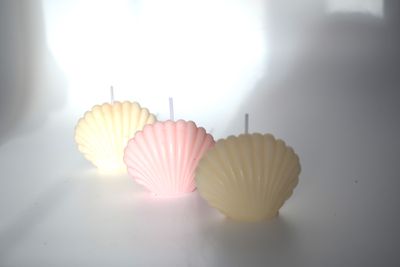 Vela Ostra