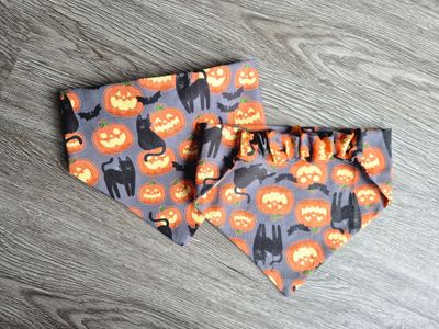 L. Halloween Pumpkin/Cat
