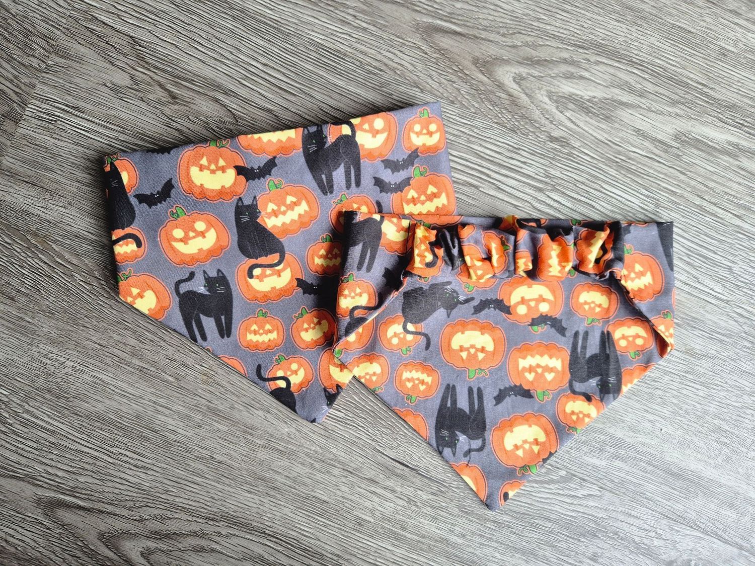 M. Halloween Pumpkin/Cat