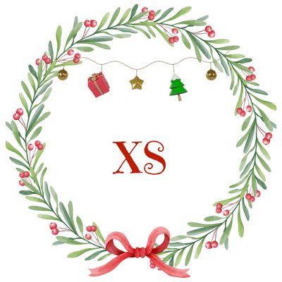 XS 