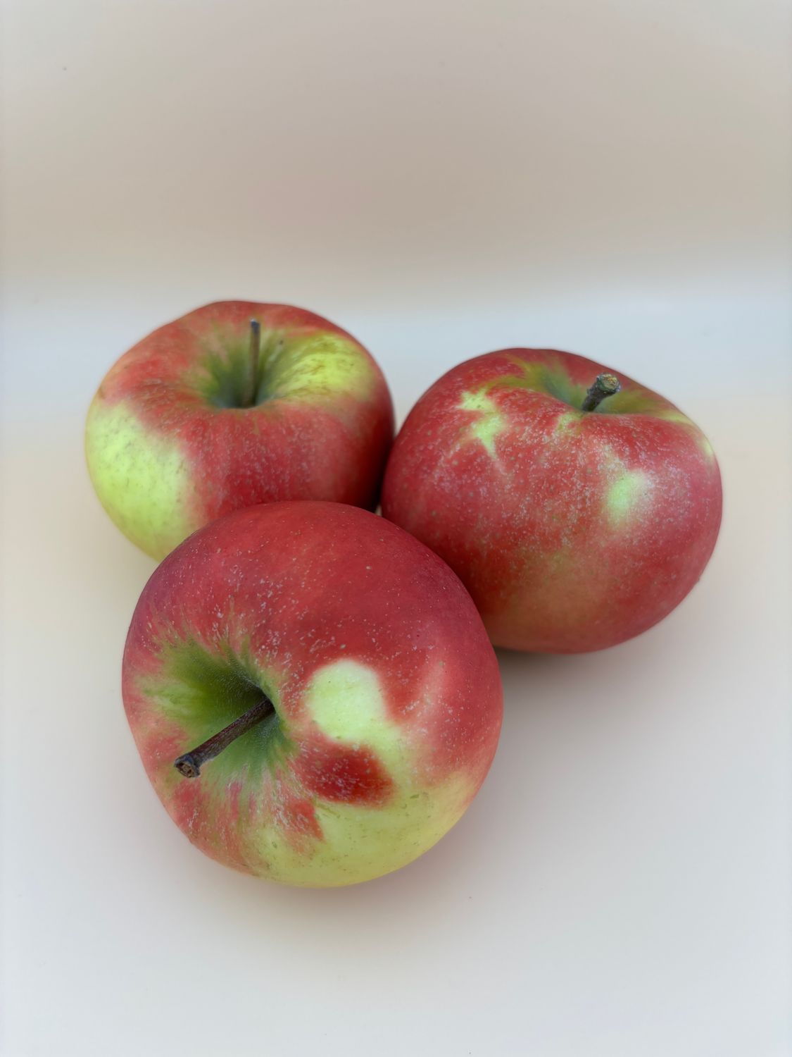 Elstar 3,00 € je Kg