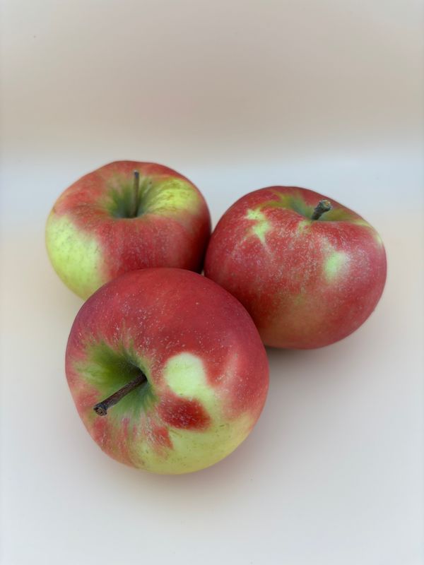 Elstar 3,00 € je Kg Elstar 3,00 € je Kg