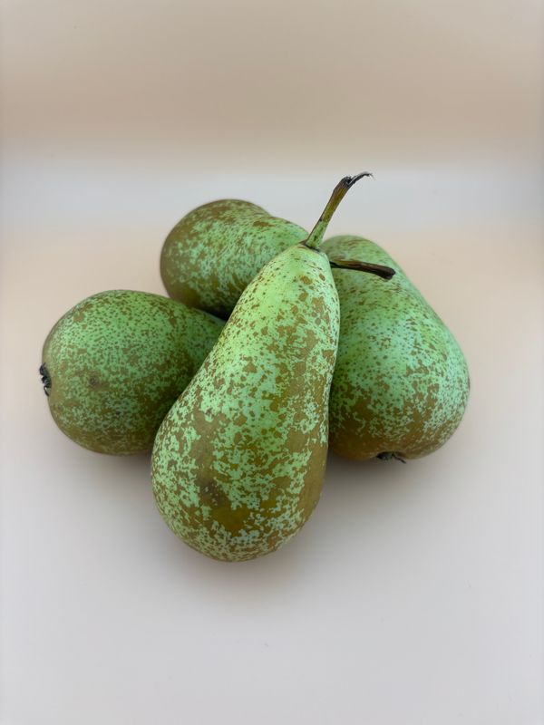 Conference 3,50 € je Kg Conference 3,50 € je Kg