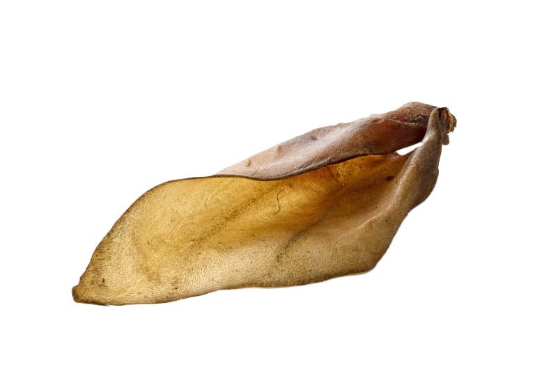 Rinder Ohr mit Muschel 200g