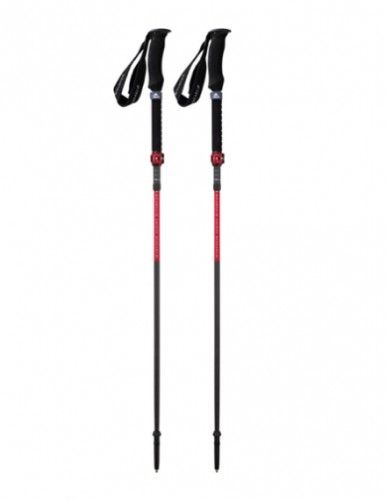 RENTAL Hiking Poles