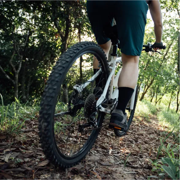 RENTAL Hard Tail Mountain Bike