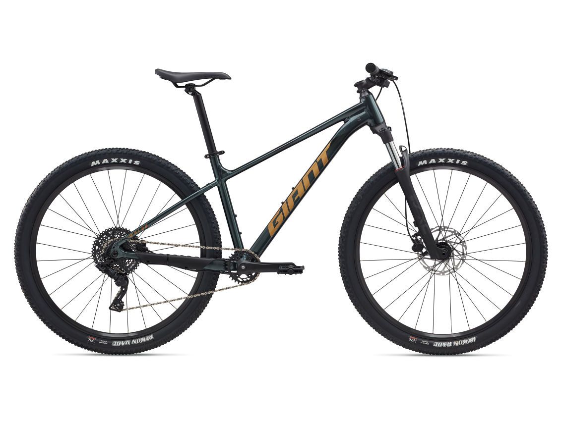 2025 GIANT TALON 2