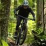 RENTAL Full Suspension Mountian bike