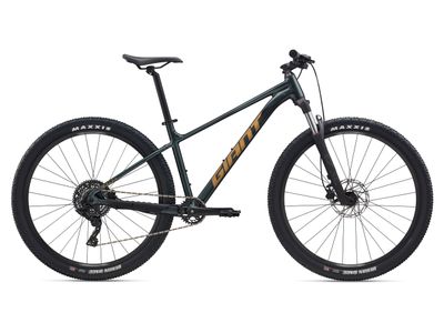 2025 GIANT TALON 2