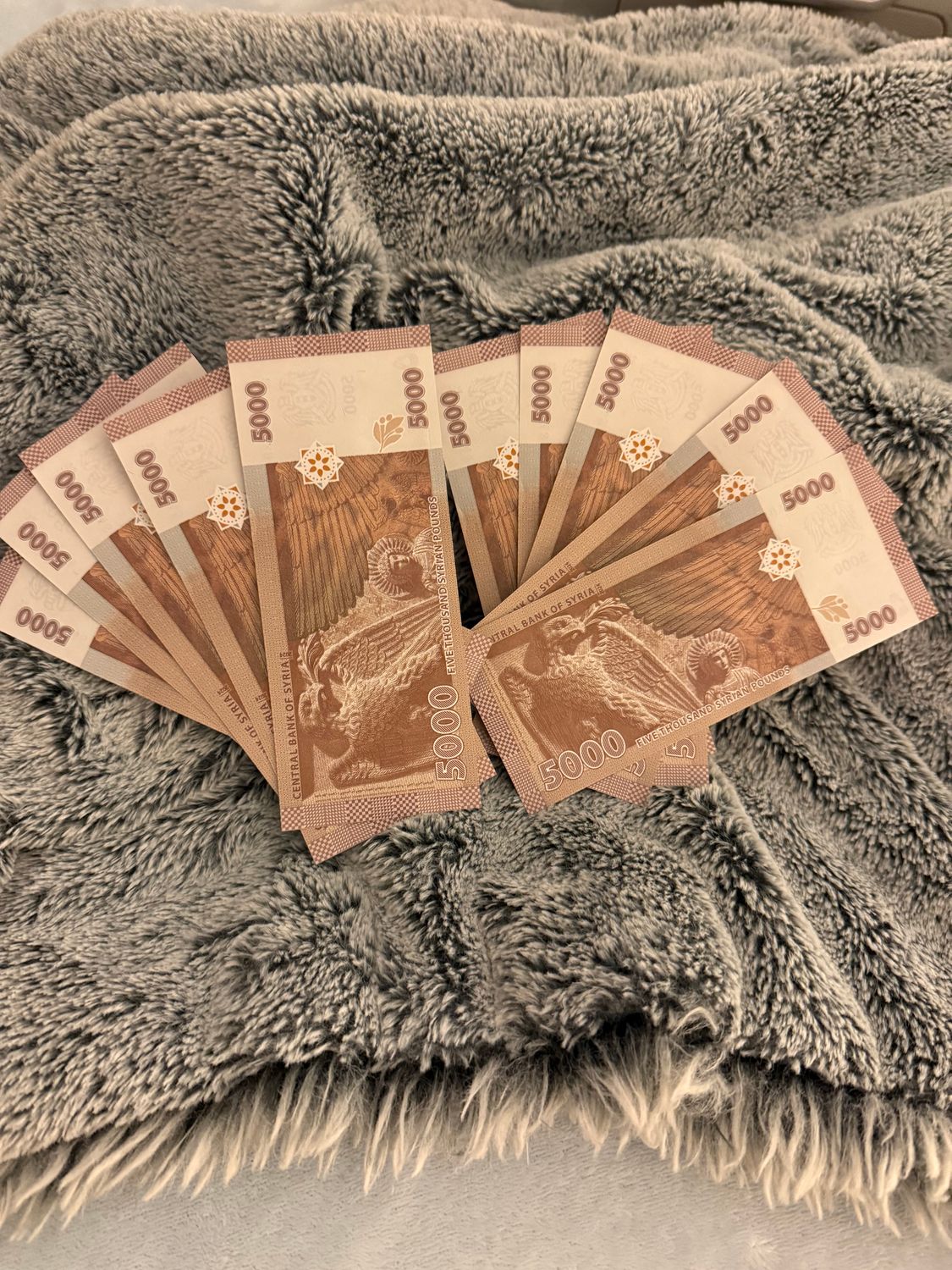 10 x 5,000 Pound Notes 2019~2024 Genuine &amp; Authentic