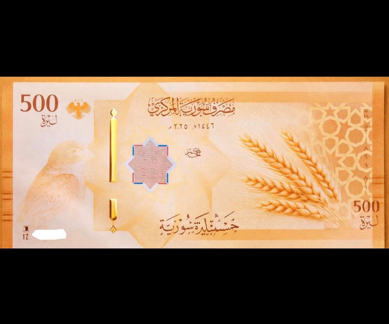 LS 500 Pound 2026 Notes