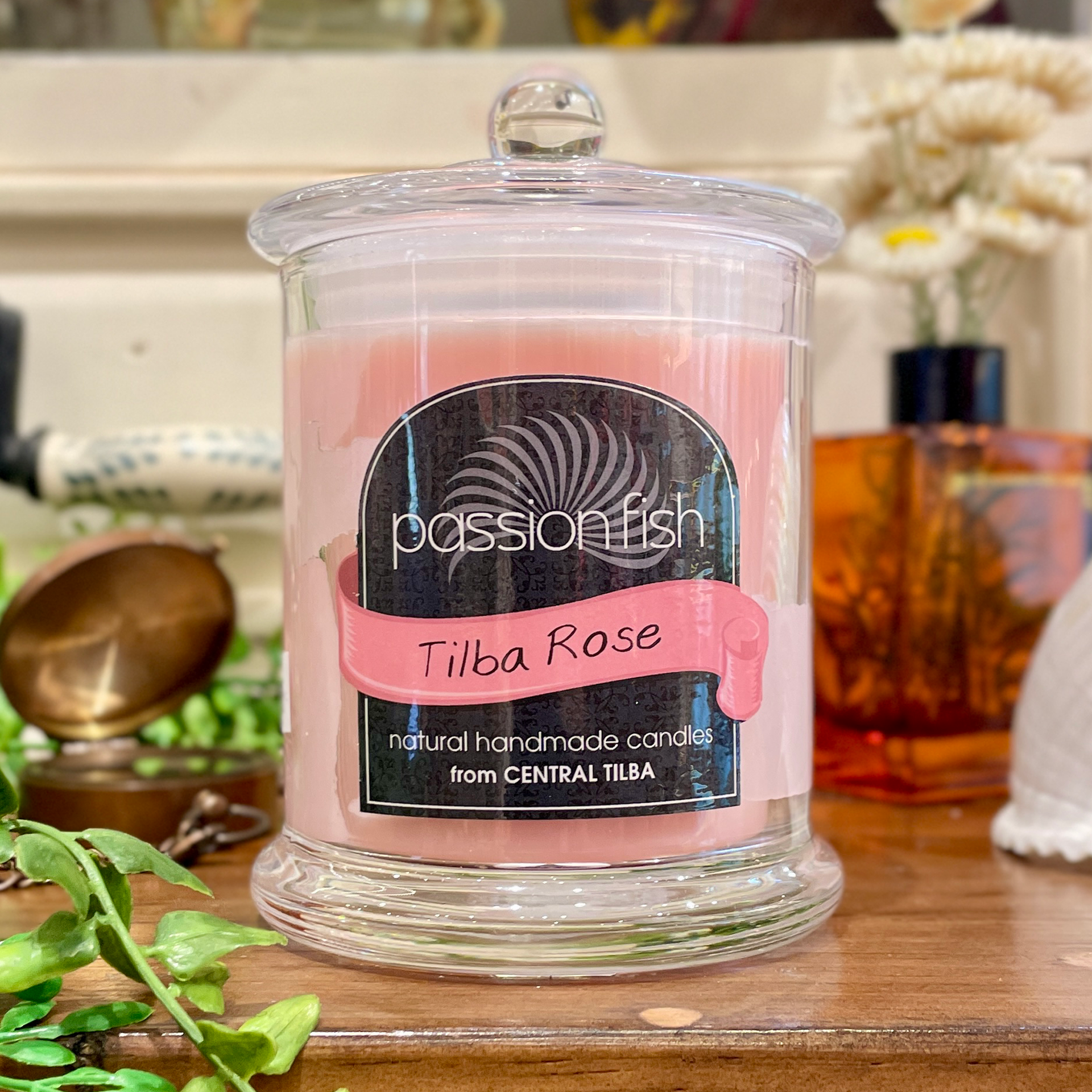 Tilba Rose