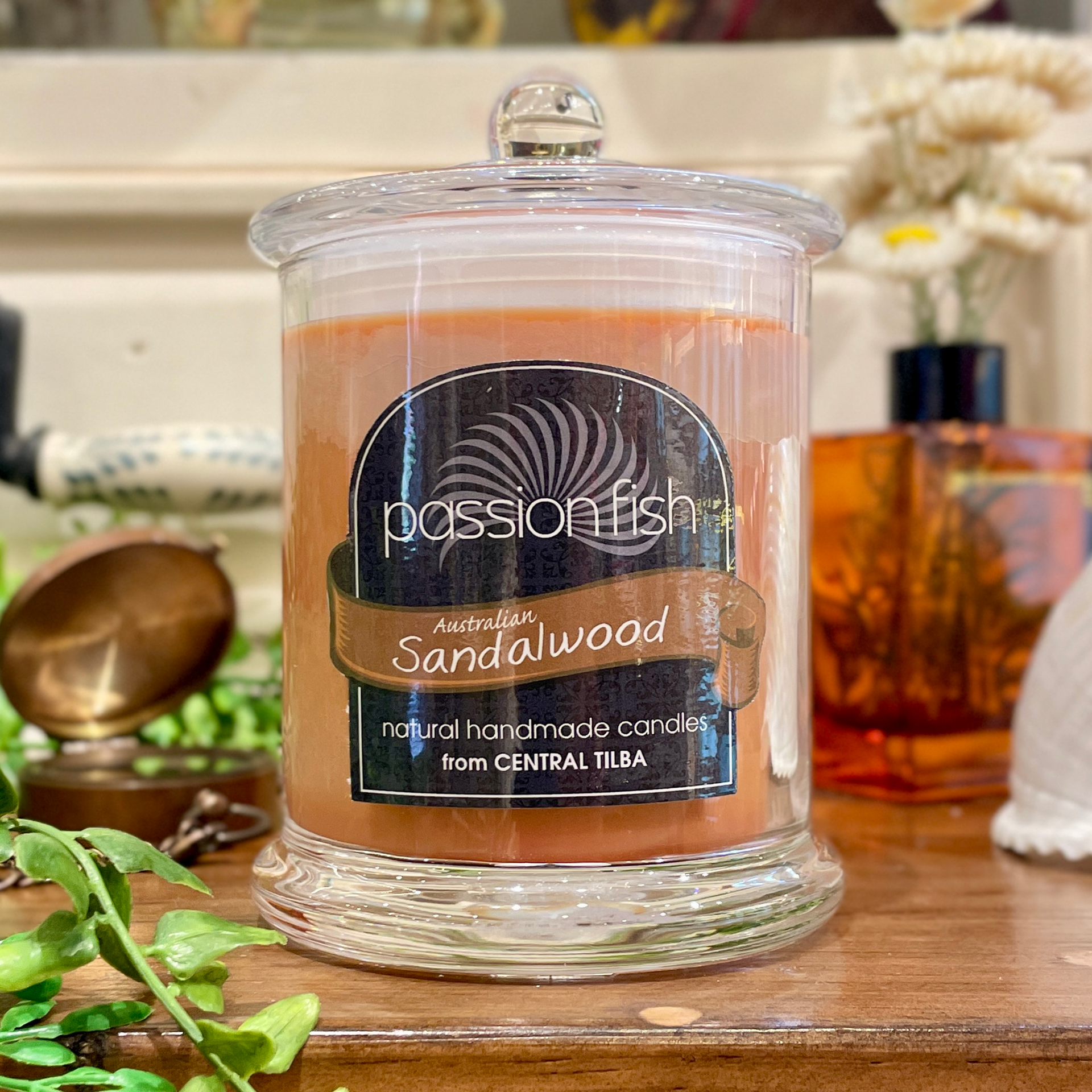 Australian Sandalwood