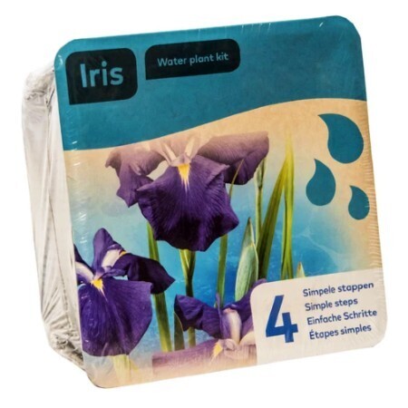 Japansk Iris blå paket med korg