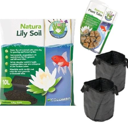 Planteringskit 2-pack dvärgnäckrosor