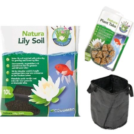 Planteringskit näckrosor