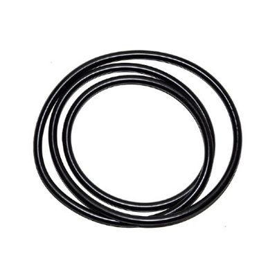 O-Ring filtertank Aquaforte 20000 filter O-Ring filtertank Aquaforte 20000 filter