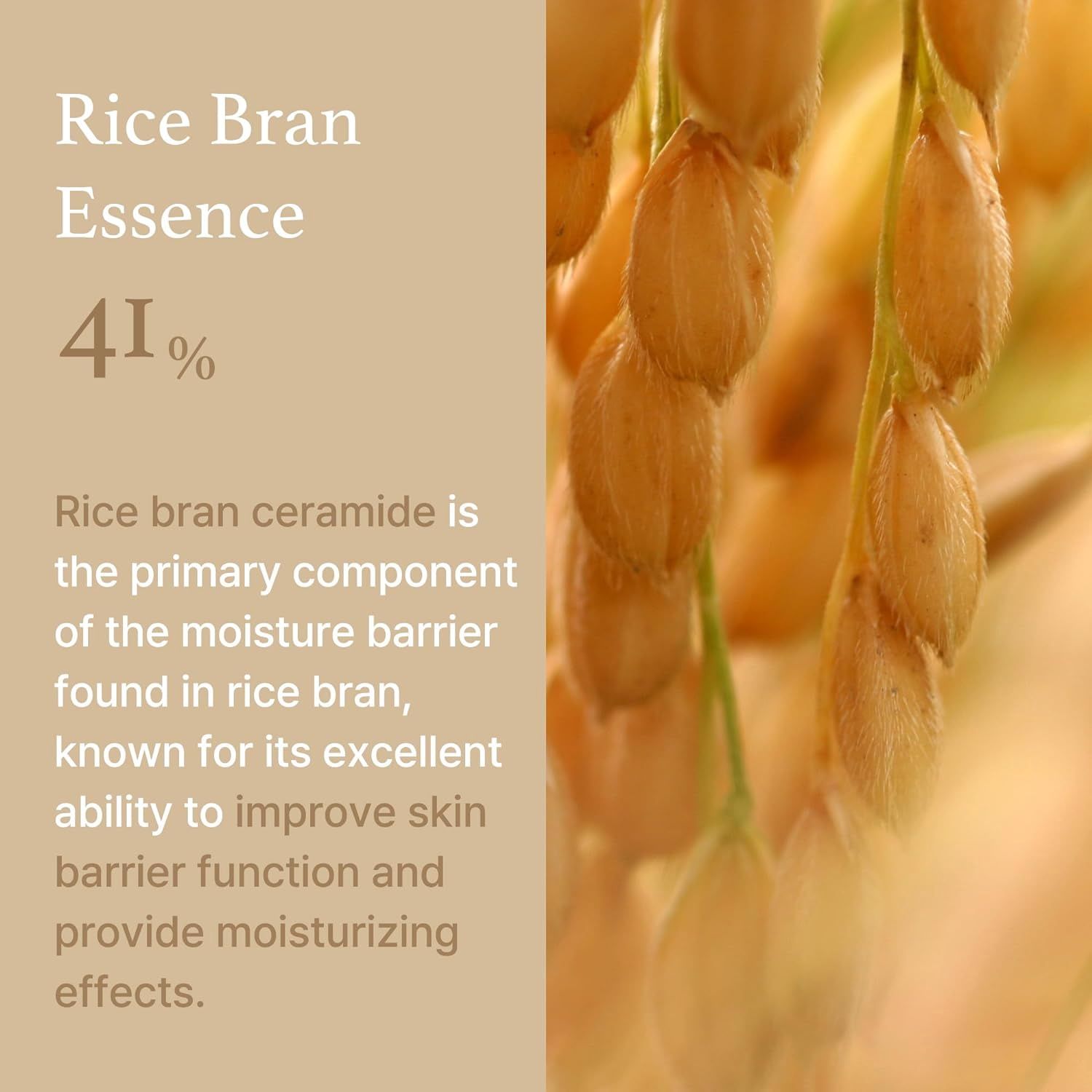 I'm From Rice Cream 50ml