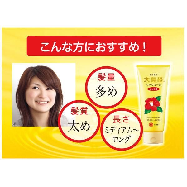 Oshima Tsubaki  Hair Cream 160g - Moist