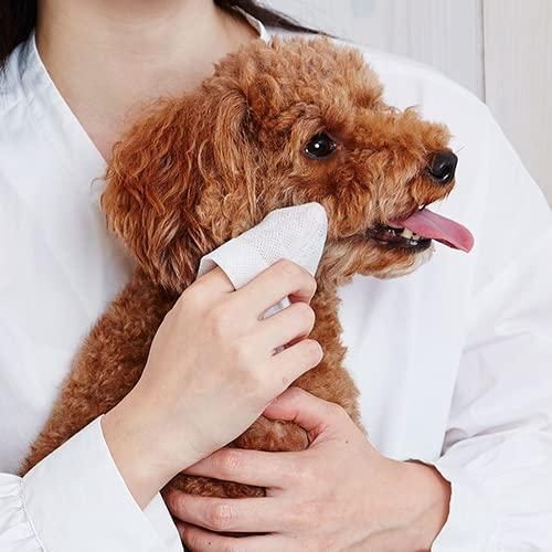 Petio Wet Shampoo Tissue Face (For Dogs &amp; Cats)