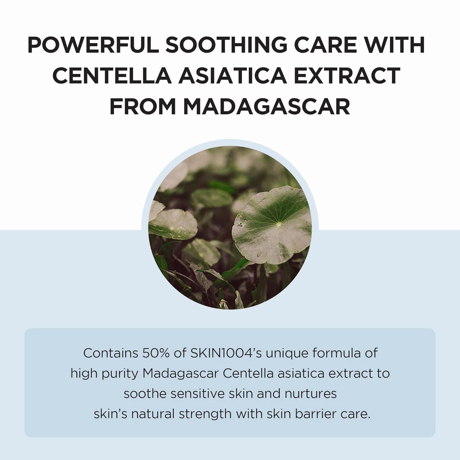 Skin1004 Madagascar Hyalu-cica Moisture Cream 75ml