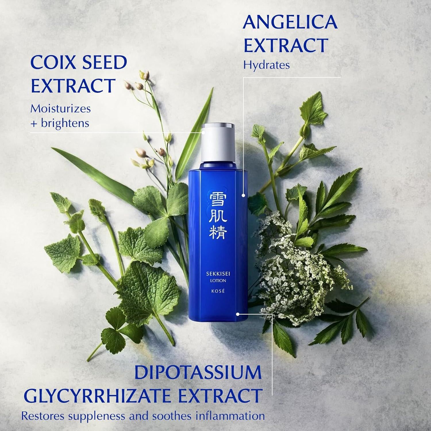 Kose Sekkisei Lotion 360ml