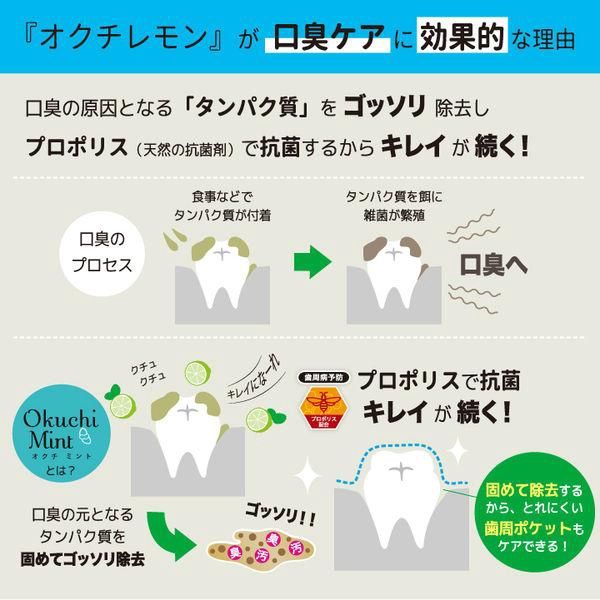 Okuchi Mouth Wash -Mint 5pcs