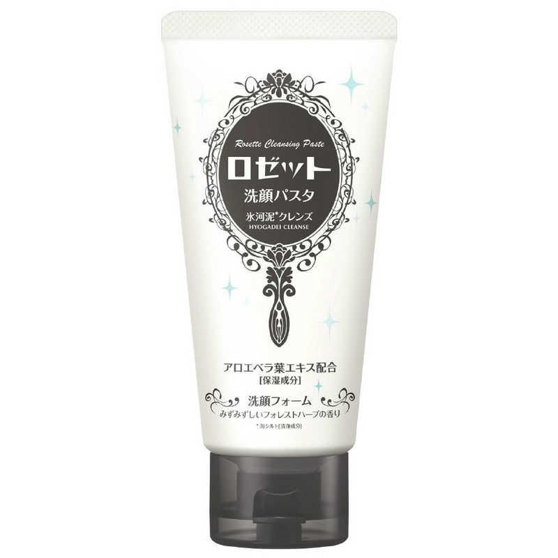 Rosette Cleansing Paste Face Wash - Hyogadei Cleanse New