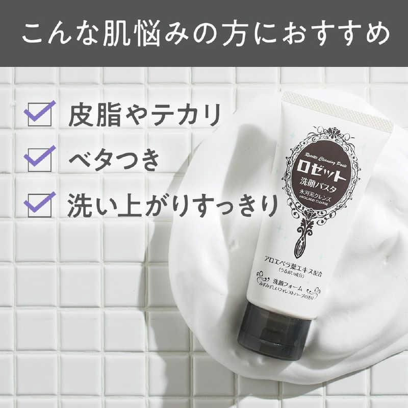 Rosette Cleansing Paste Face Wash - Hyogadei Cleanse
