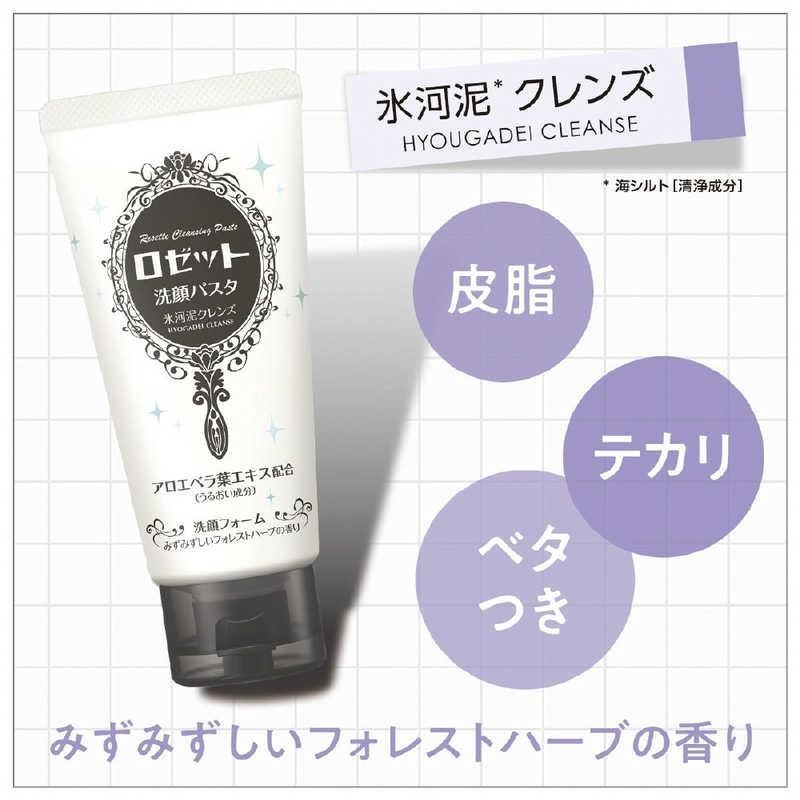 Rosette Cleansing Paste Face Wash - Hyogadei Cleanse