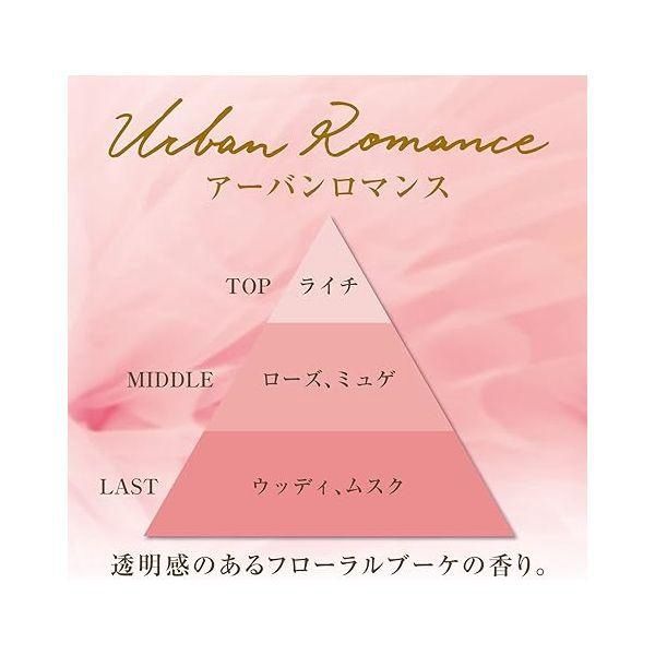 ST Shoshu-Riki Deodorizer For Room  Urban Romance