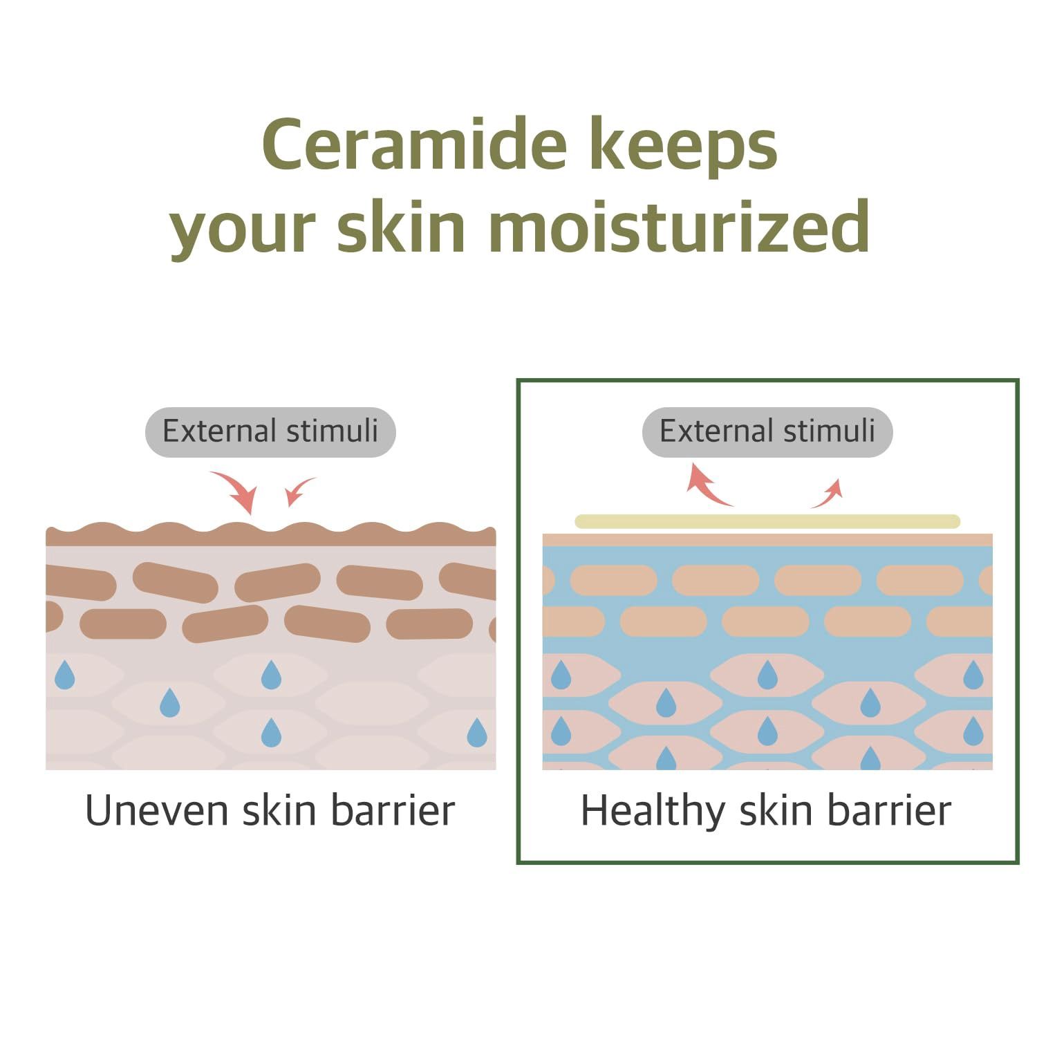 Round Lab Soybean Nourishing Mask 10 Sheets