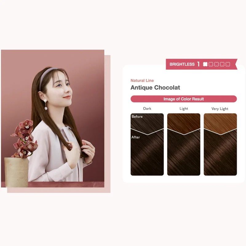 Hoyu Beauty Labo Whip Hair Color - Antique Chocolate