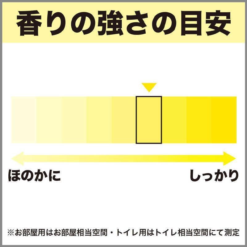 ST Shoshu-Riki Deodorizer For Pet Fruity Garden 400ml