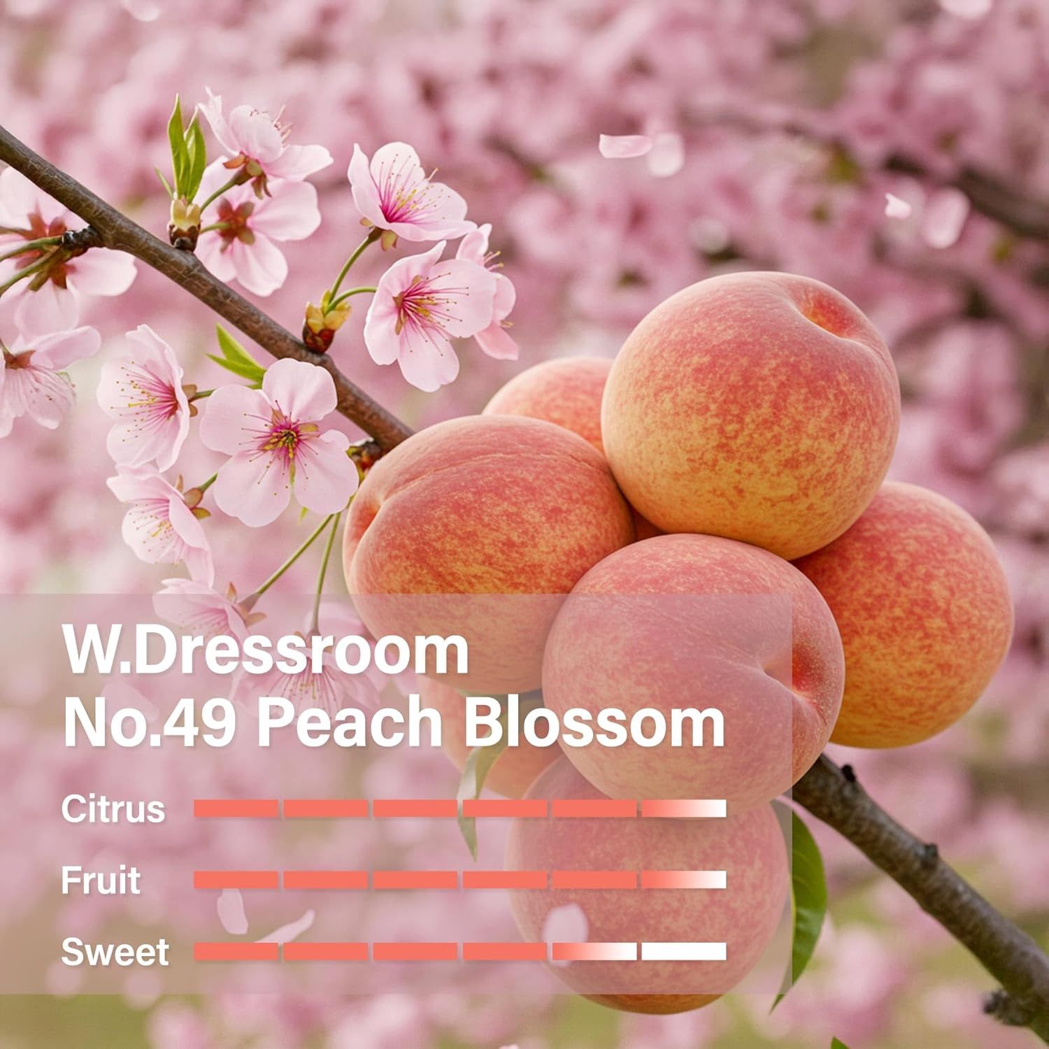 W. Dressroom Moisturizing Perfume Hand Cream 49 Peach Blossom 50ml