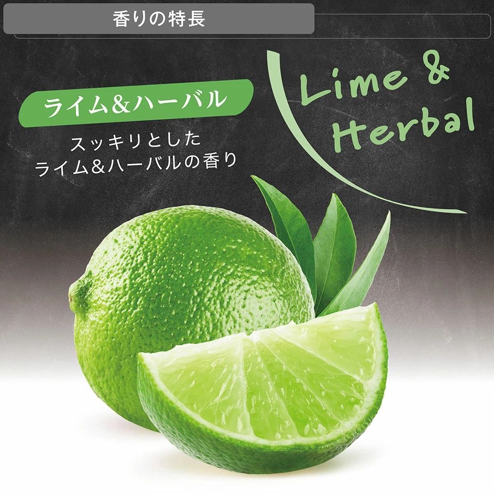 Carmate H1703A The Fruity Hanging Air Freshener - Lime &amp; Herbal