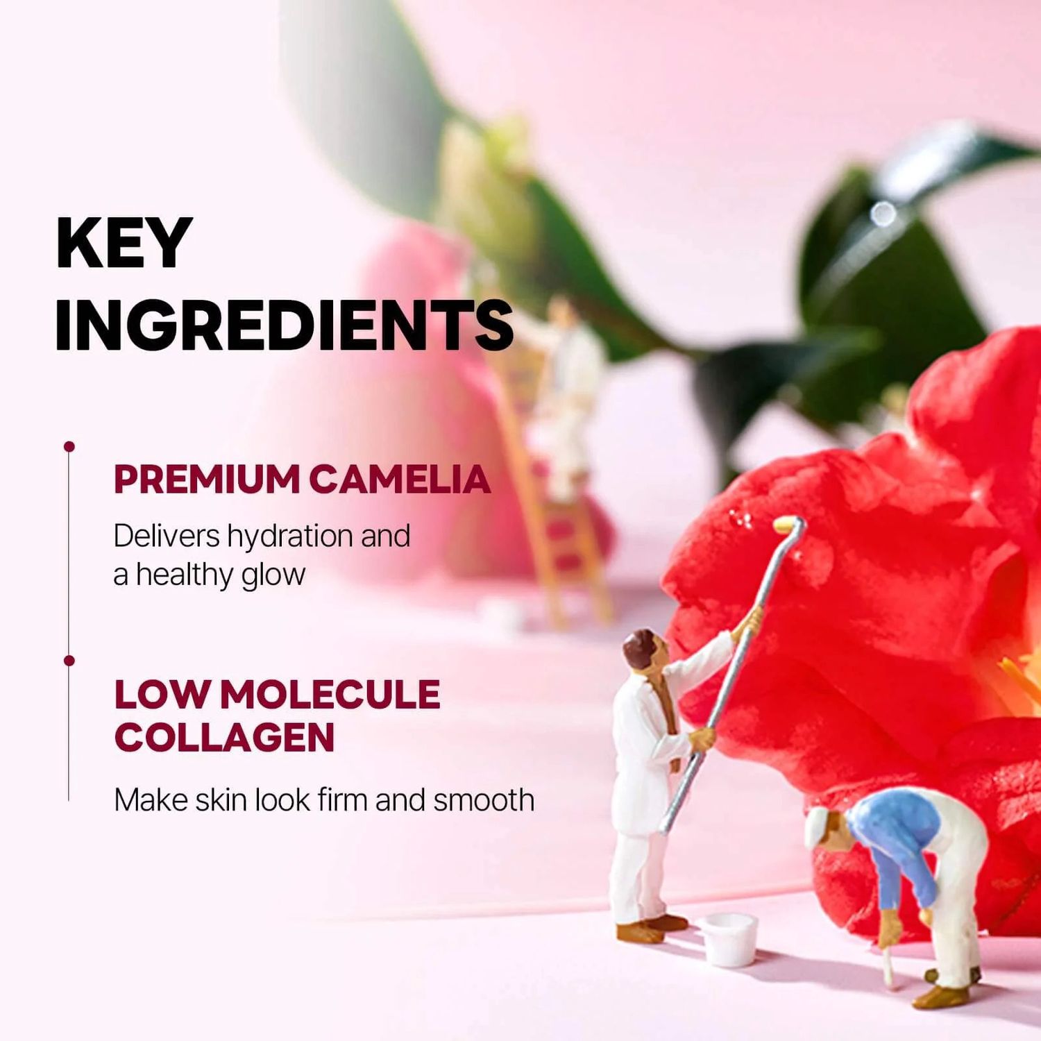 Round Lab Camellia Deep Collagen Firming Gel Mask 4 Sheets/Box
