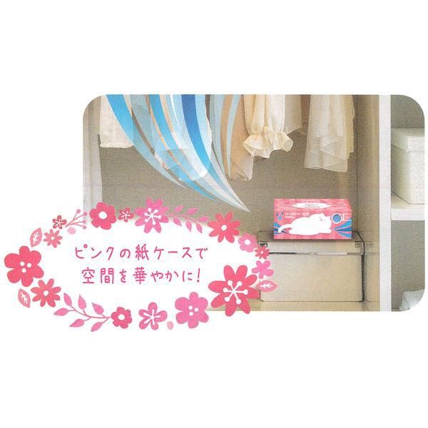 Hakugen Dry&amp;Dry UP NECO Floral Bouquet 1000ml