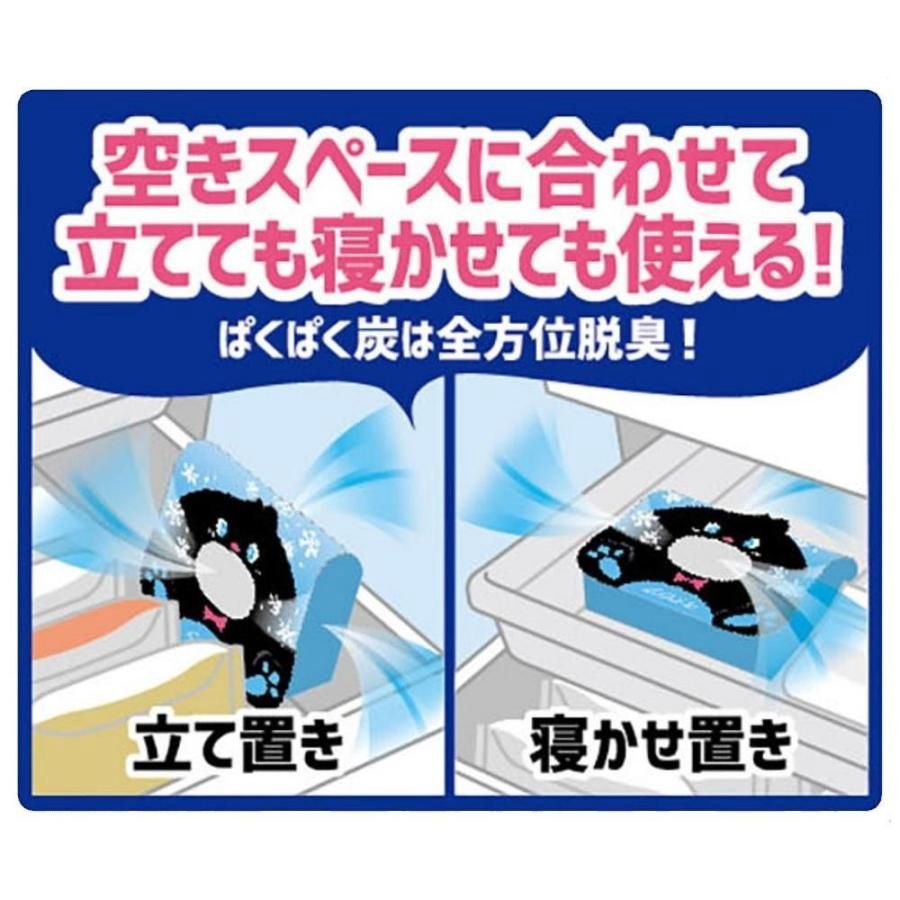 Hakugen Nonsmel Pakupaku Charcoal for Freezer