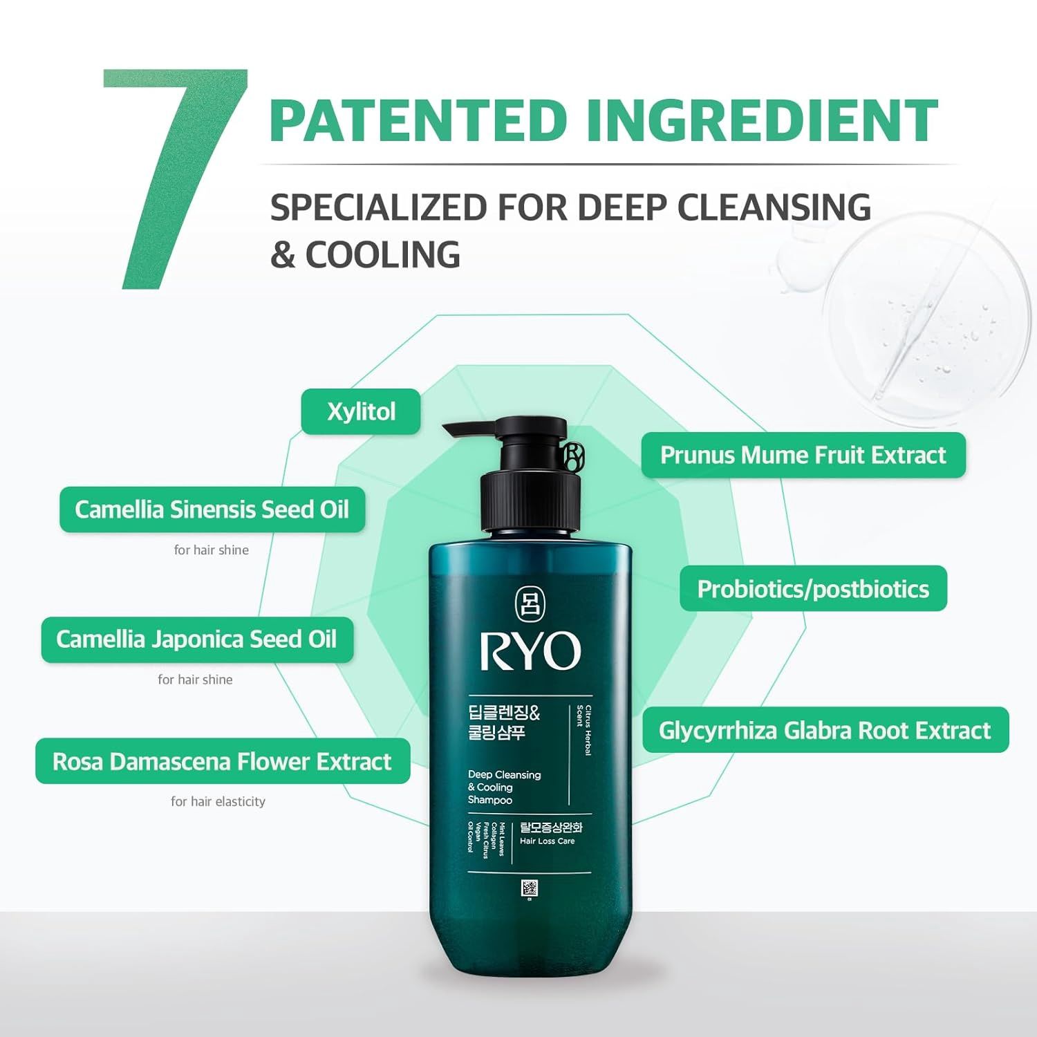 Ryo Deep Scalp Cleansing Shampoo 480ml