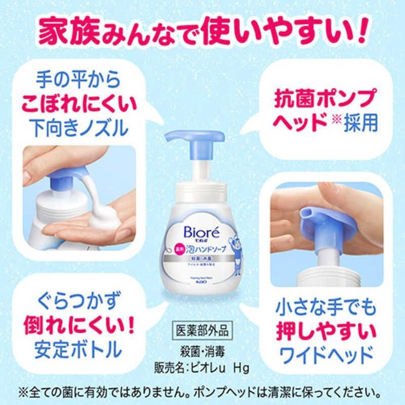 Kao Biore Foam Hand Soap Refill Green Bottle Citrus Fragrance 430ml