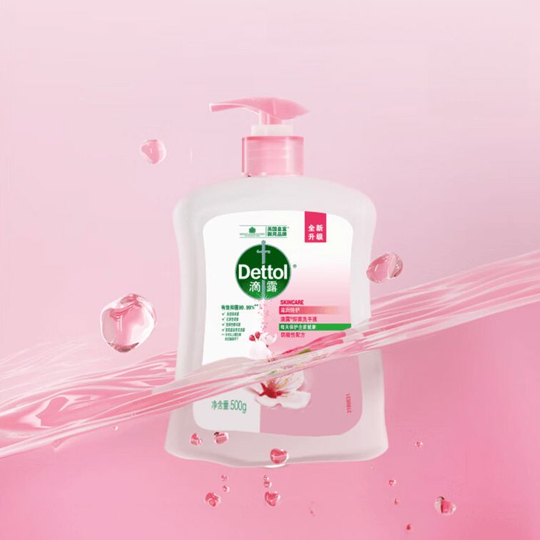 Dettol Antibacterial Hand Wash Moisturizing Protection 500ml