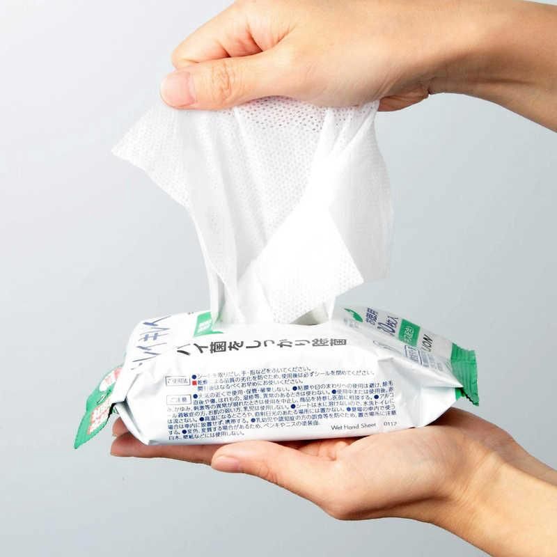 Lion KireiKirei Antibacterial Wet Sheets (Alcohol Type) 30 Sheets