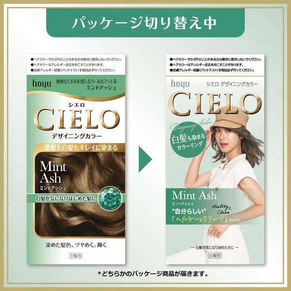 Hoyu Cielo Designing Color For Gray Hair - Mint Ash