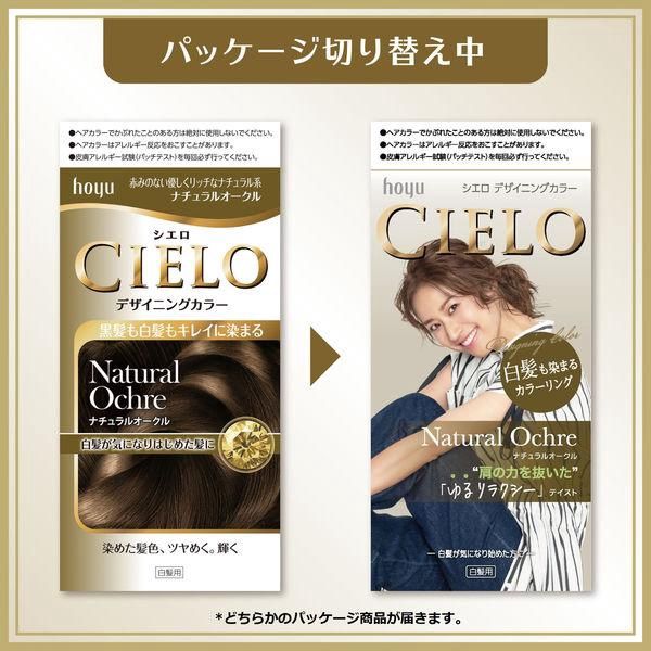 Hoyu Cielo Designing Color For Gray Hair - Natural Ochre