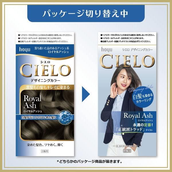 Hoyu Cielo Designing Color For Gray Hair - Royal Ash